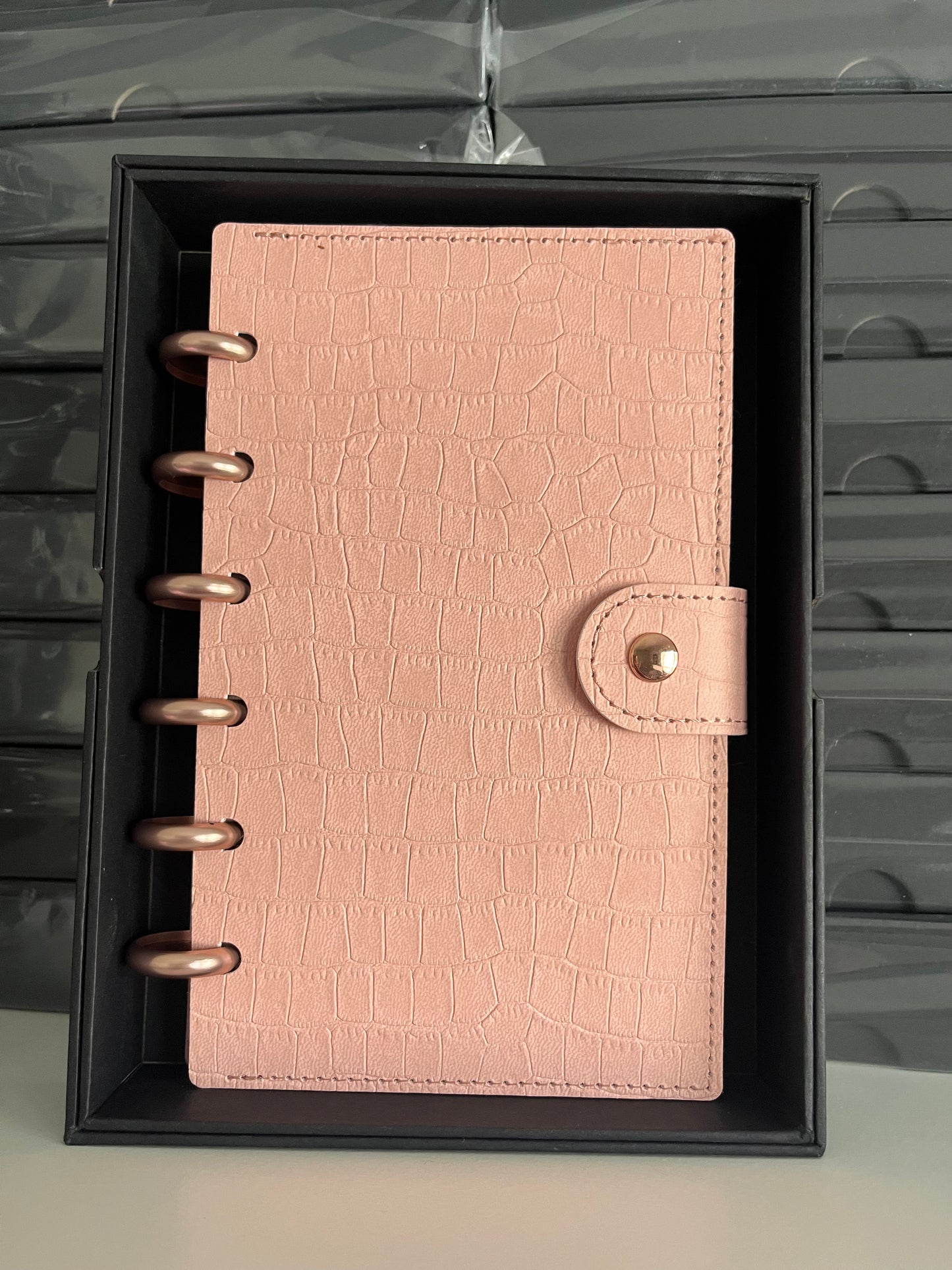 Rose Gold/Pink Disc Bound Budget Binder