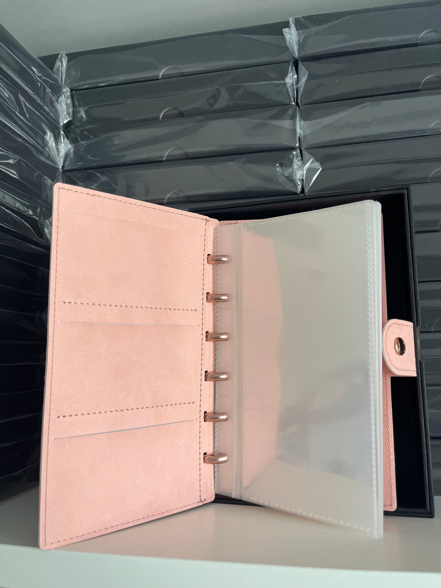 Rose Gold/Pink Disc Bound Budget Binder