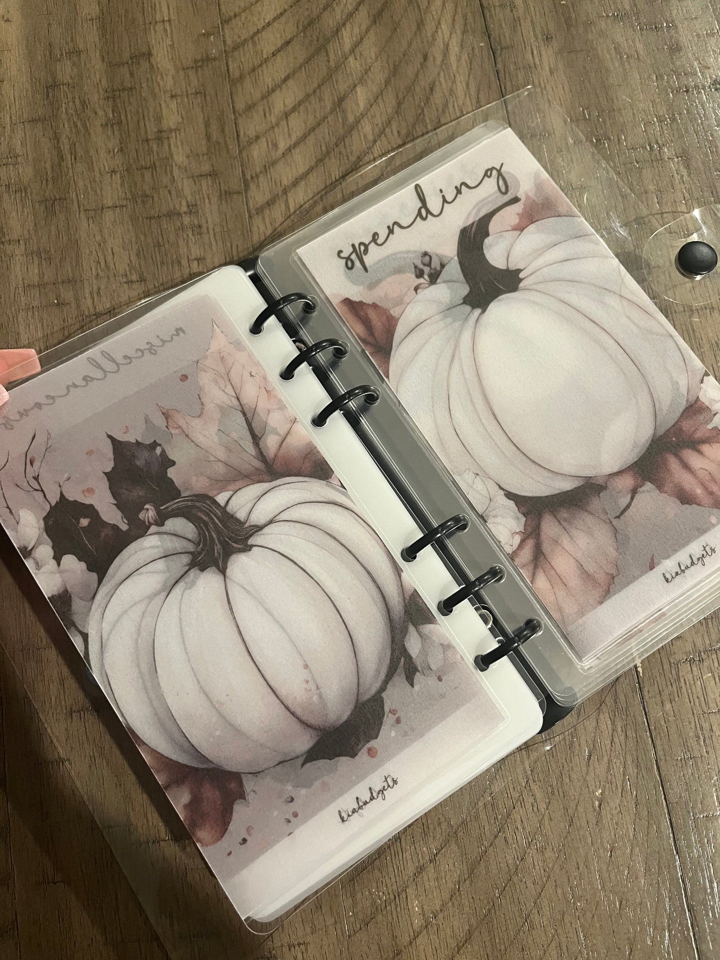 Fall Collection Custom A7/A6 Cash Stuffing Envelopes